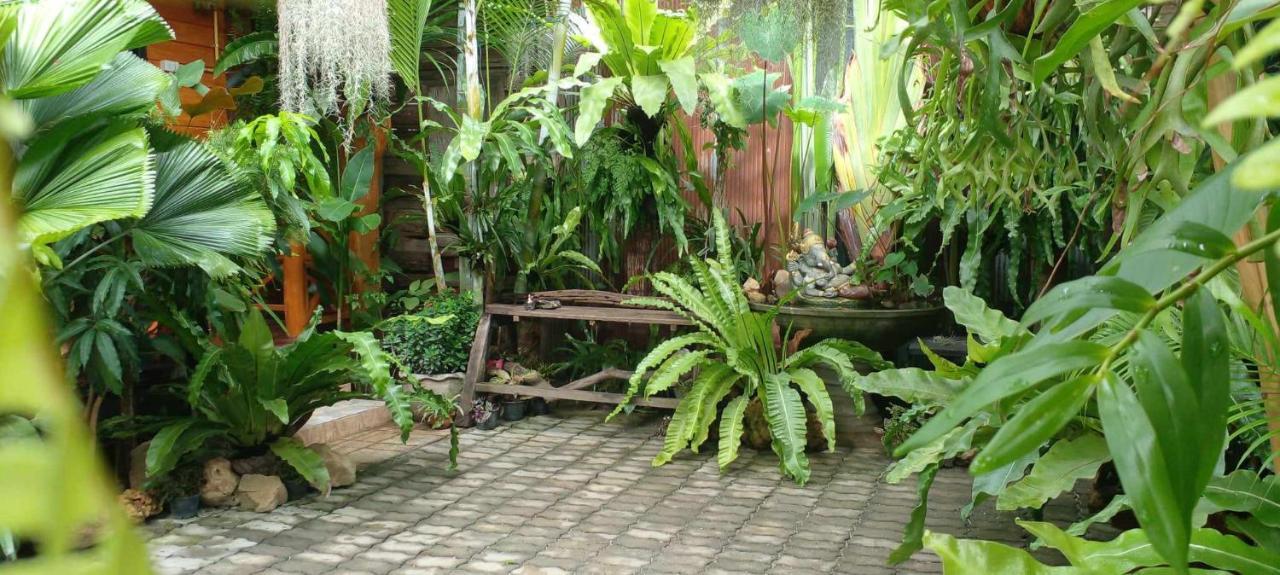 Ouychai Resort Home Stay 치앙마이 외부 사진
