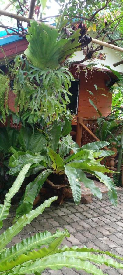 Ouychai Resort Home Stay 치앙마이 외부 사진